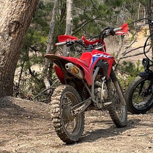 Meet your Posher, Roque